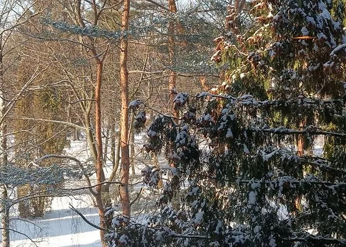 Nad Zalewem 217 Apartment